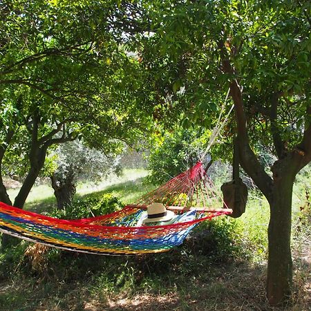Lithea Villas And Studios By The Sea Agios Petros (Alonissos) Quarto foto