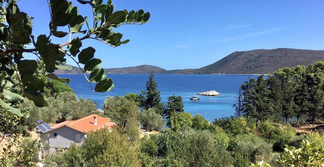 Lithea Villas And Studios By The Sea Agios Petros (Alonissos) Exterior foto