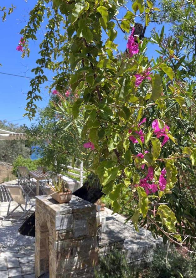 Lithea Villas And Studios By The Sea Agios Petros (Alonissos) Exterior foto