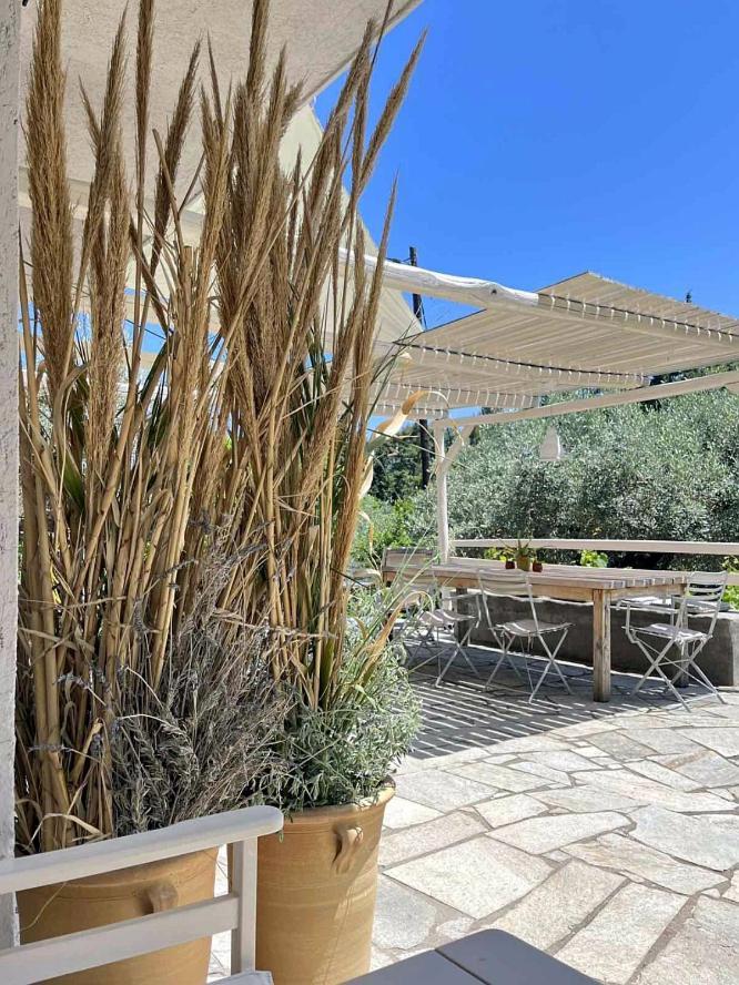 Lithea Villas And Studios By The Sea Agios Petros (Alonissos) Exterior foto