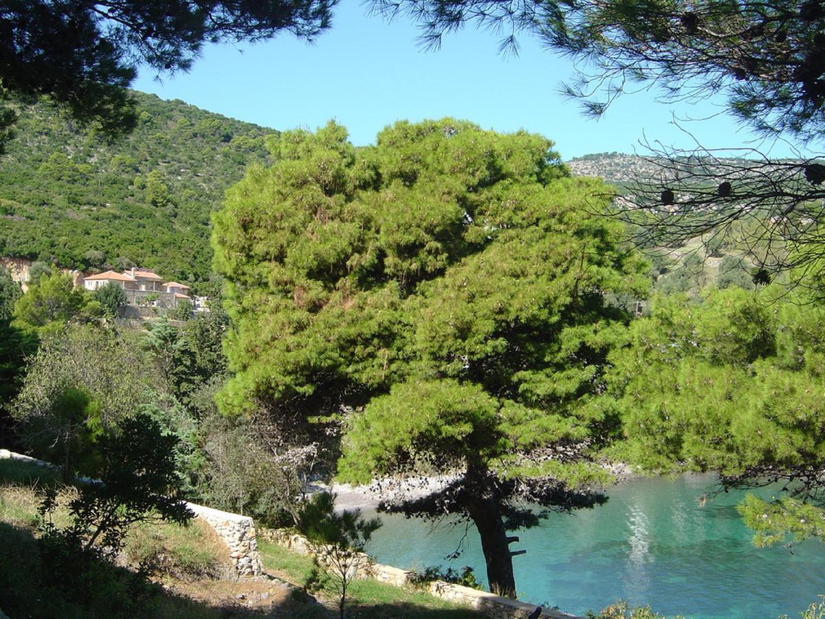 Lithea Villas And Studios By The Sea Agios Petros (Alonissos) Exterior foto